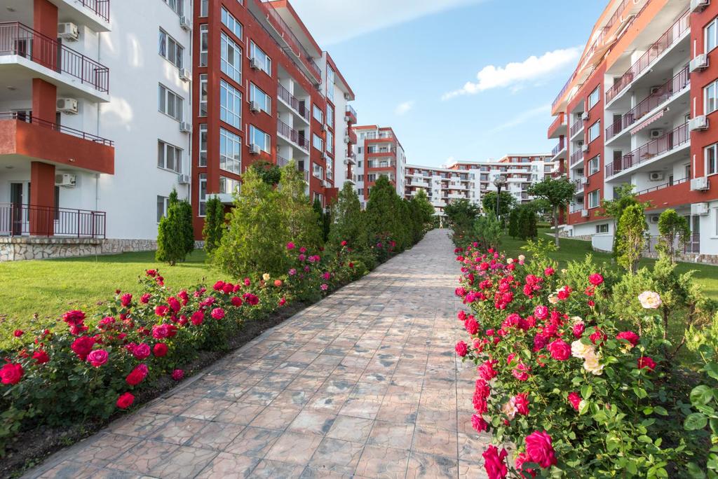 святой влас первая линия