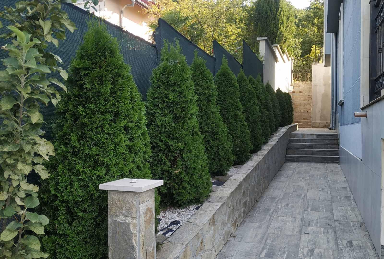 недвижимость в болгарии