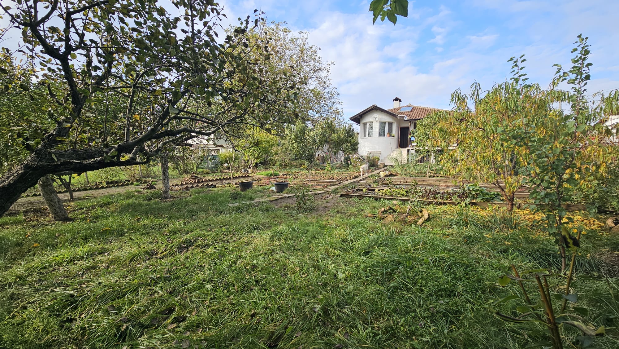 купить дом в болгарии